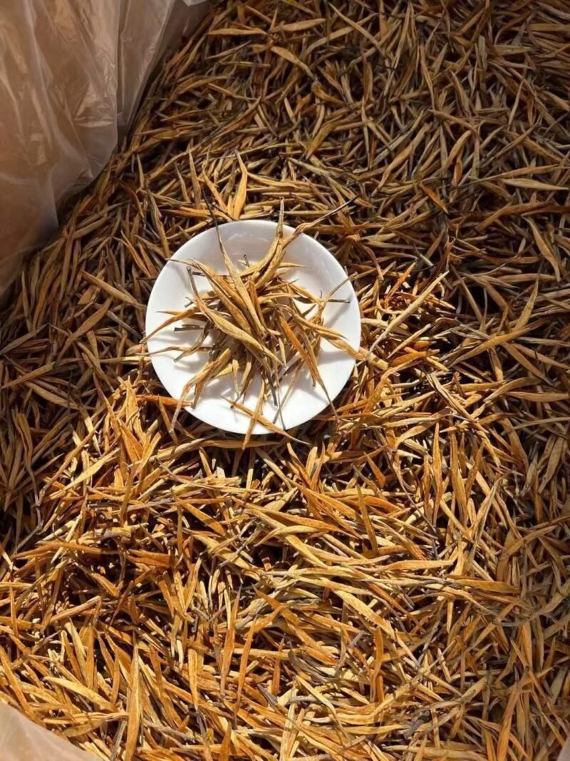 DIANHONG GOLDEN DAYLILY